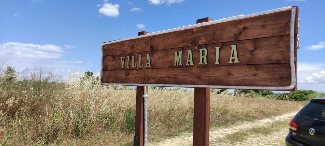 קסנדריה Maria'S Luxury Apartment מראה חיצוני תמונה