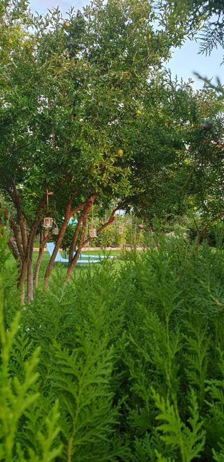קסנדריה Maria'S Luxury Apartment מראה חיצוני תמונה